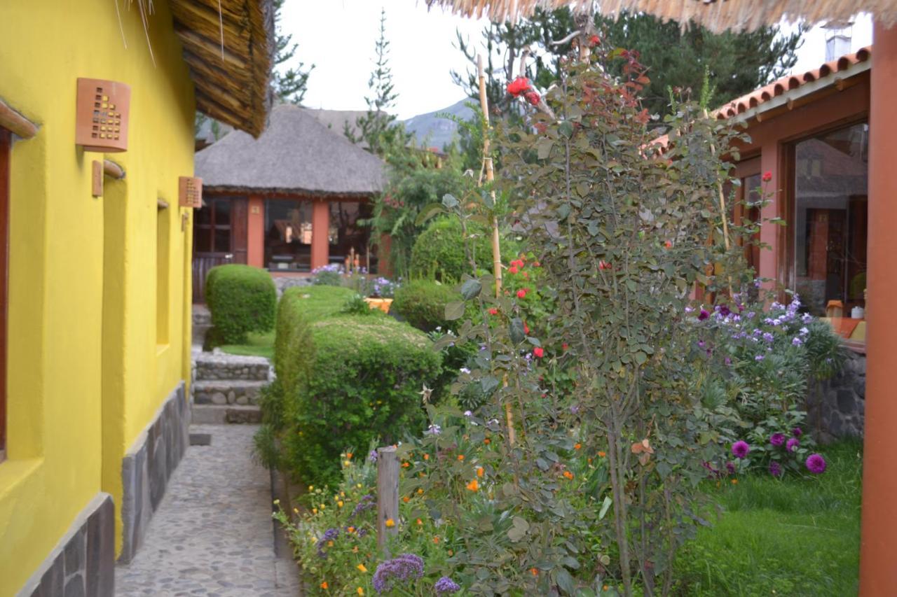Miskiwasi Bed & Breakfast Yanque Kültér fotó