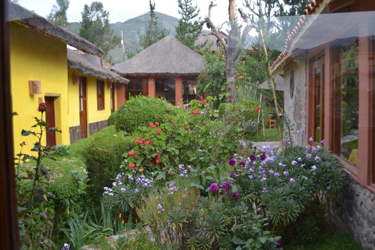 Miskiwasi Bed & Breakfast Yanque Kültér fotó